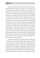 Não Trái - Não Phải: Và Cách Chúng Ảnh Hưởng Đến Hành Vi Hằng Ngày Của Chúng Ta