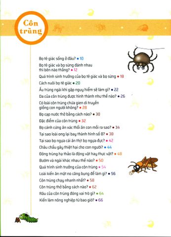  Quiz! Khoa Học Kì Thú - Côn Trùng - Kim, Hyun Min 
