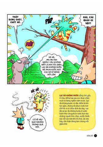  Quiz! Khoa Học Kì Thú - Động Vật - Do, Ki Sung 