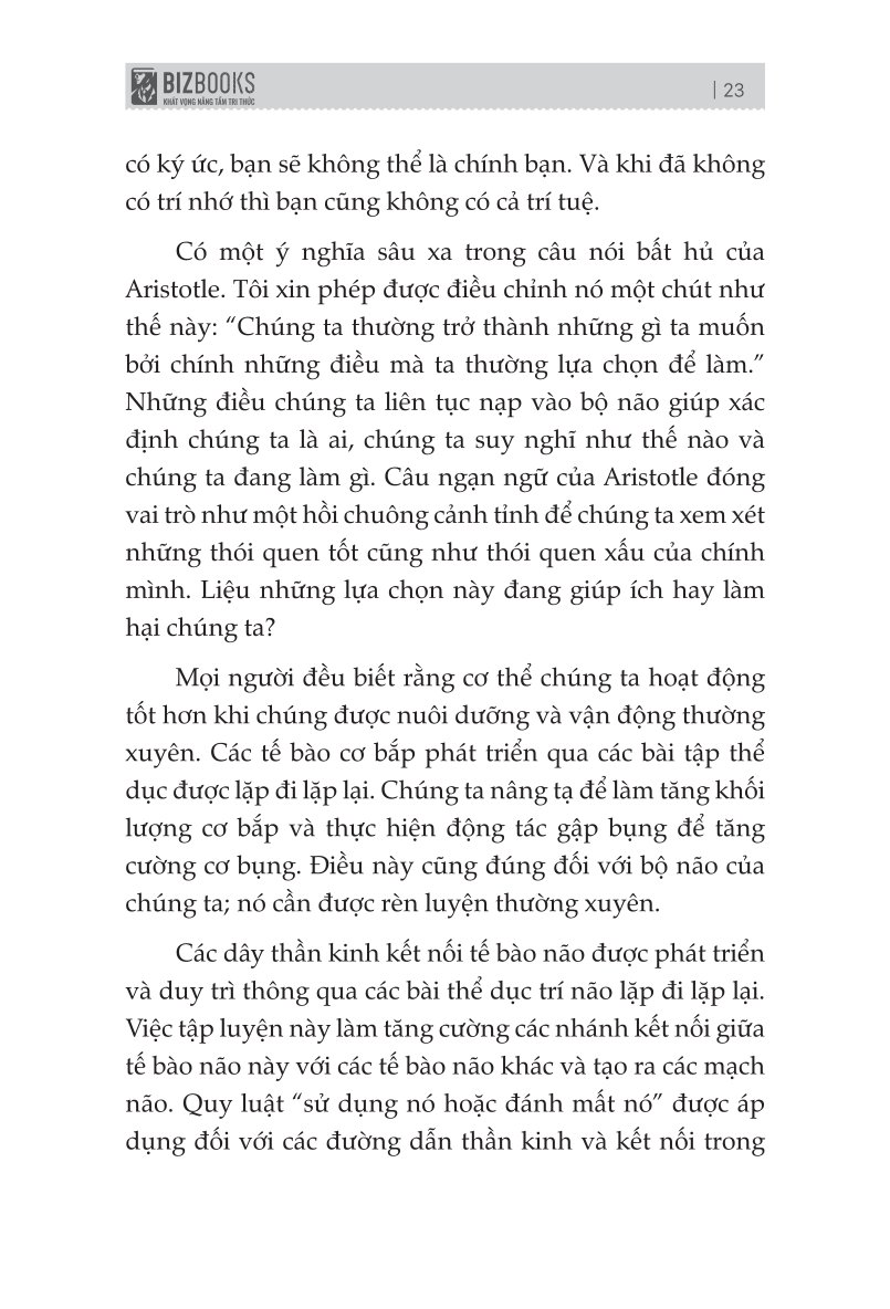 Trí Nhớ Minh Mẫn, Tư Duy Sắc Sảo: Các Chiến Lược Chống Lão Hóa Cho Bộ Não Của Bạn