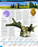  Lịch Sử Thế Giới - Chân Dung Nhân Loại Theo Dòng Sự Kiện - DK 