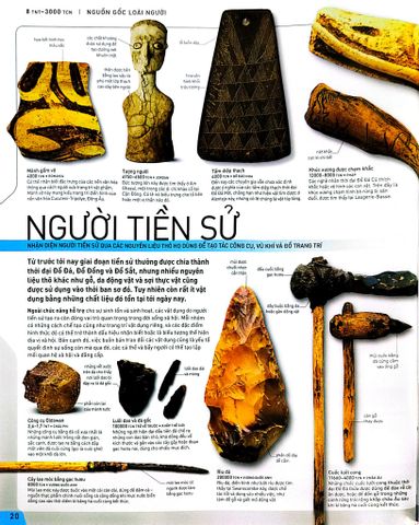  Lịch Sử Thế Giới - Chân Dung Nhân Loại Theo Dòng Sự Kiện - DK 