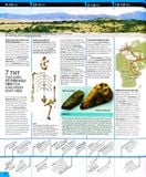  Lịch Sử Thế Giới - Chân Dung Nhân Loại Theo Dòng Sự Kiện - DK 