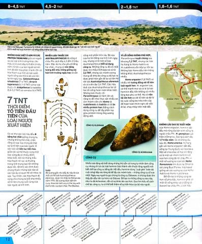  Lịch Sử Thế Giới - Chân Dung Nhân Loại Theo Dòng Sự Kiện - DK 