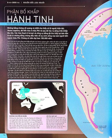  Lịch Sử Thế Giới - Chân Dung Nhân Loại Theo Dòng Sự Kiện - DK 