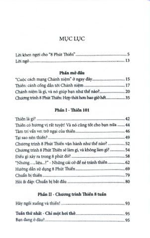  8 Phút Thiền - Victor Davich 