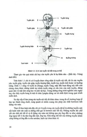  Bệnh Nội Tiết - Chuyển Hóa - Di Truyền Trẻ Em  - Nguyễn Thu Nhạn 