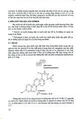 Bệnh Nội Tiết - Chuyển Hóa - Di Truyền Trẻ Em  - Nguyễn Thu Nhạn
