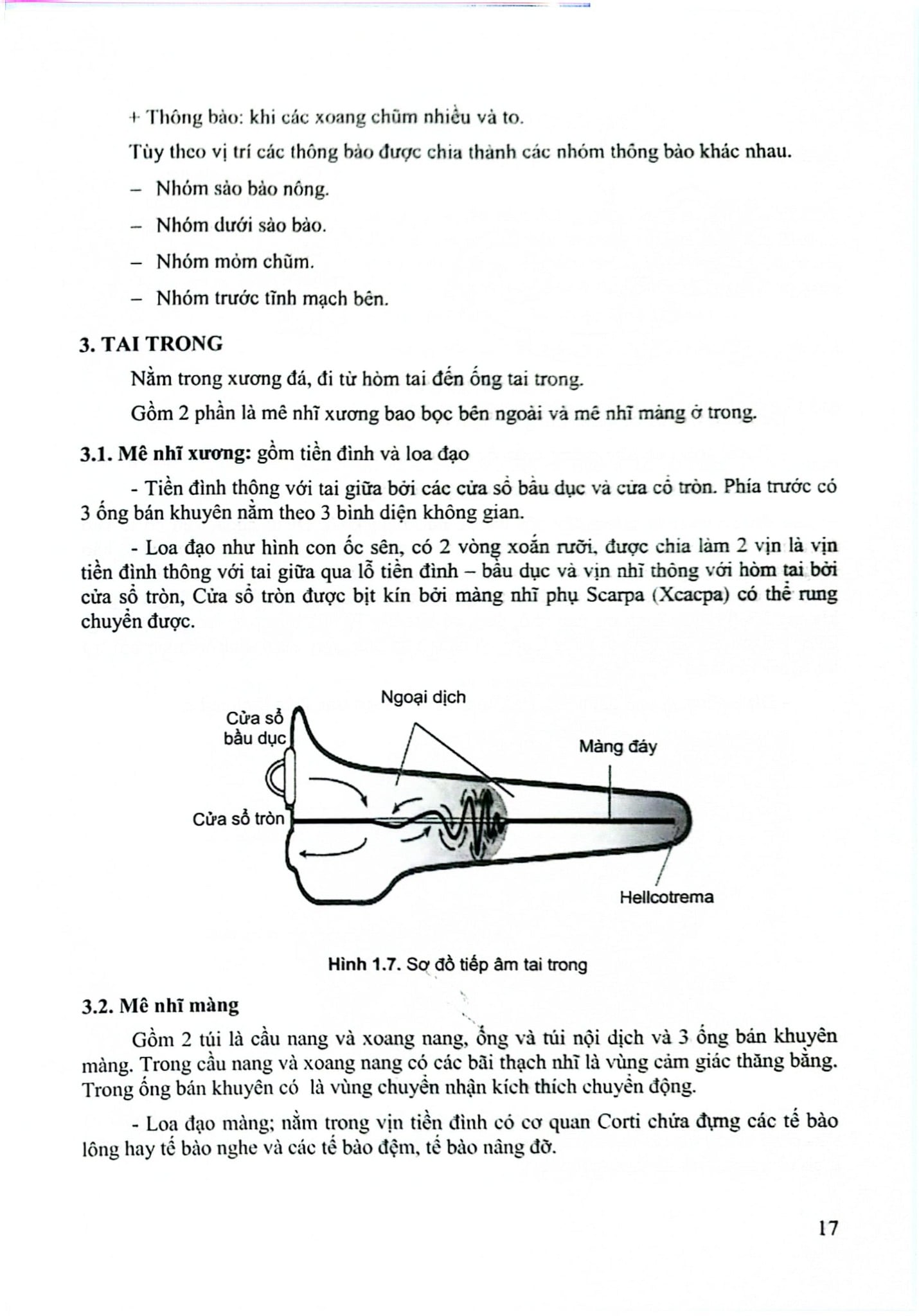 Bệnh Học Tai- Mũi- Họng Đầu Mặt Cổ - GS.TS. Ngô Ngọc Liễn