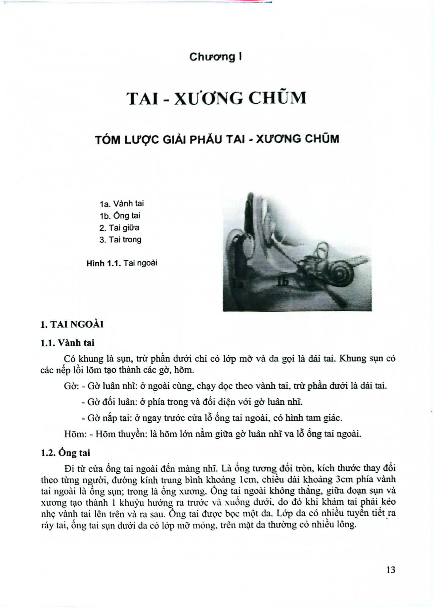 Bệnh Học Tai- Mũi- Họng Đầu Mặt Cổ - GS.TS. Ngô Ngọc Liễn