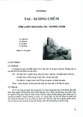 Bệnh Học Tai- Mũi- Họng Đầu Mặt Cổ - GS.TS. Ngô Ngọc Liễn
