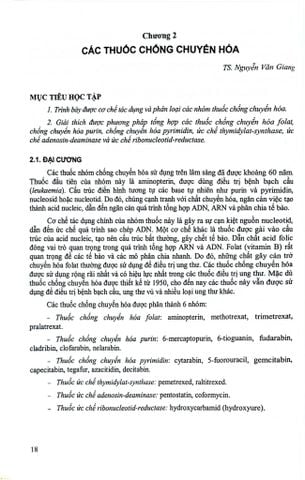  Phương Pháp Tổng Hợp Một Số Nhóm Thuốc Chống Ung Thư ( Giáo Trình Đào Tạo Sau Đại Học ) - ĐH Y Hà Nội 