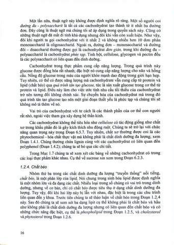  Dinh Dưỡng Quan Điểm Dịch Tễ Học (Nutrition - The Epidemiologic Viewpoint) - Klaus Krickeberg, 
Trần Thị Diệp Hà, Nguyễn Thị Thanh Tâm 