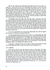Dinh Dưỡng Quan Điểm Dịch Tễ Học (Nutrition - The Epidemiologic Viewpoint) - Klaus Krickeberg, 
Trần Thị Diệp Hà, Nguyễn Thị Thanh Tâm