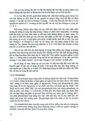 Dinh Dưỡng Quan Điểm Dịch Tễ Học (Nutrition - The Epidemiologic Viewpoint) - Klaus Krickeberg, 
Trần Thị Diệp Hà, Nguyễn Thị Thanh Tâm