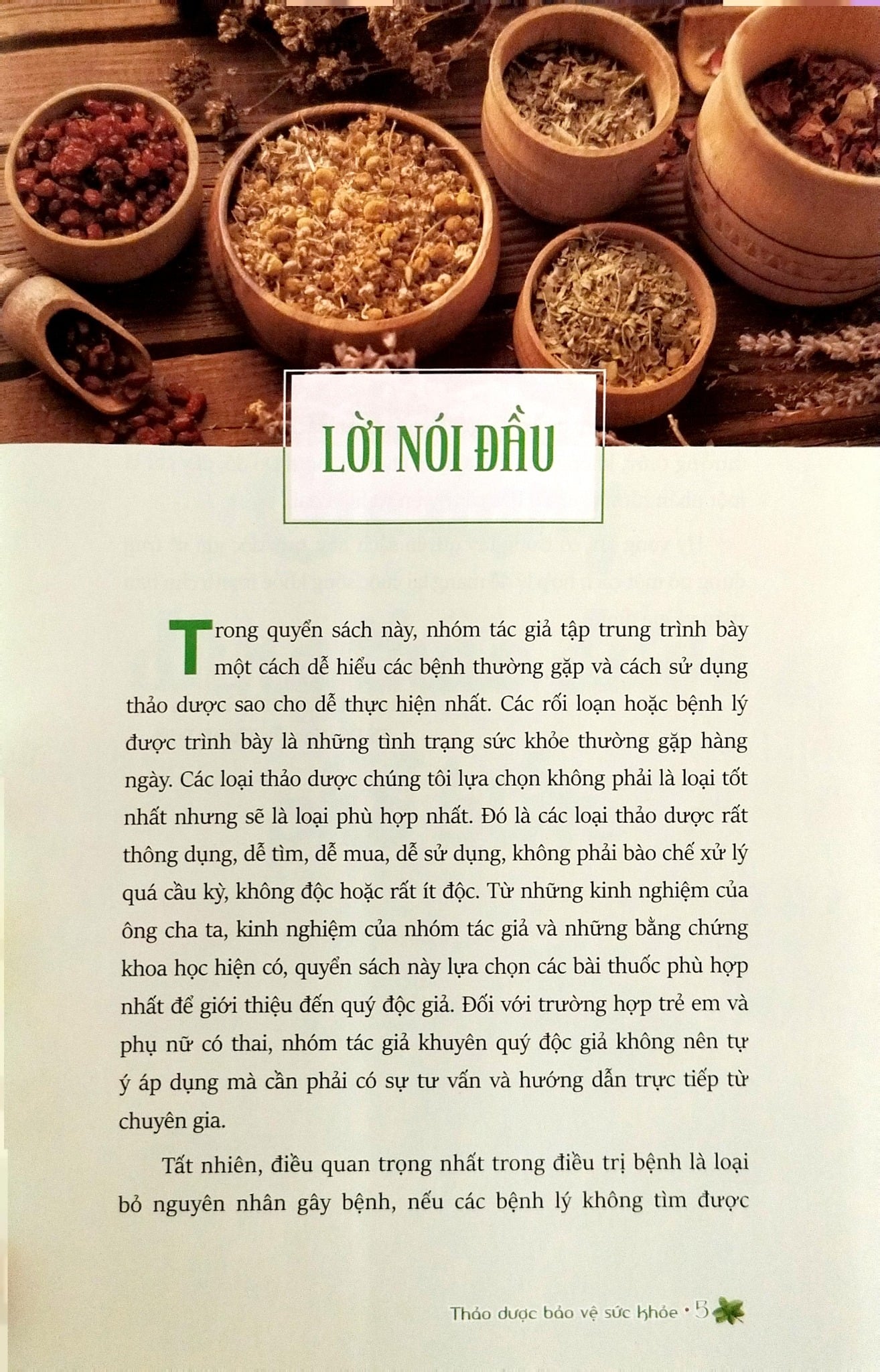 Thảo Dược Bảo Vệ Sức Khỏe - ThS BS Trần Hòa An, TS DS Nguyễn Thành Triết