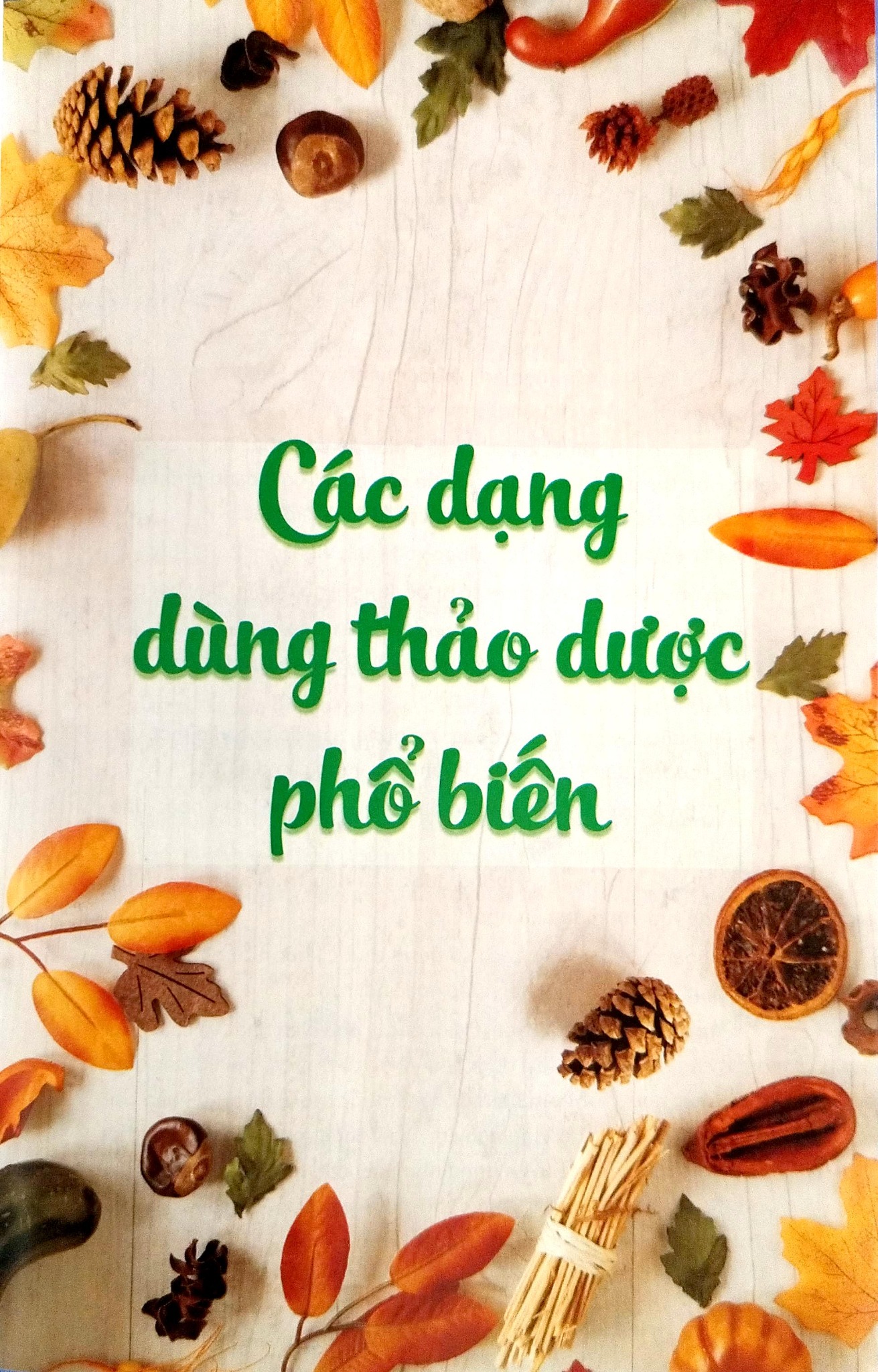 Thảo Dược Bảo Vệ Sức Khỏe - ThS BS Trần Hòa An, TS DS Nguyễn Thành Triết