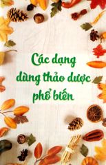 Thảo Dược Bảo Vệ Sức Khỏe - ThS BS Trần Hòa An, TS DS Nguyễn Thành Triết