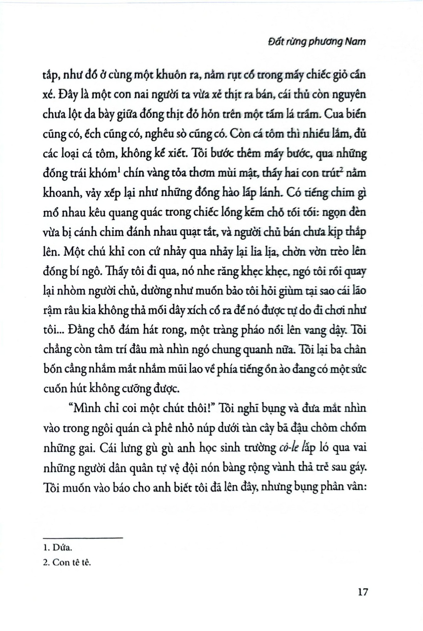 Đất Rừng Phương Nam - Đoàn Giỏi