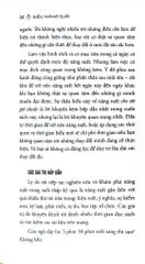Siêu Năng Suất - The Productivity Project ( Bìa Cam ) - Chris Bailey