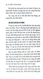  Siêu Năng Suất - The Productivity Project ( Bìa Cam ) - Chris Bailey 