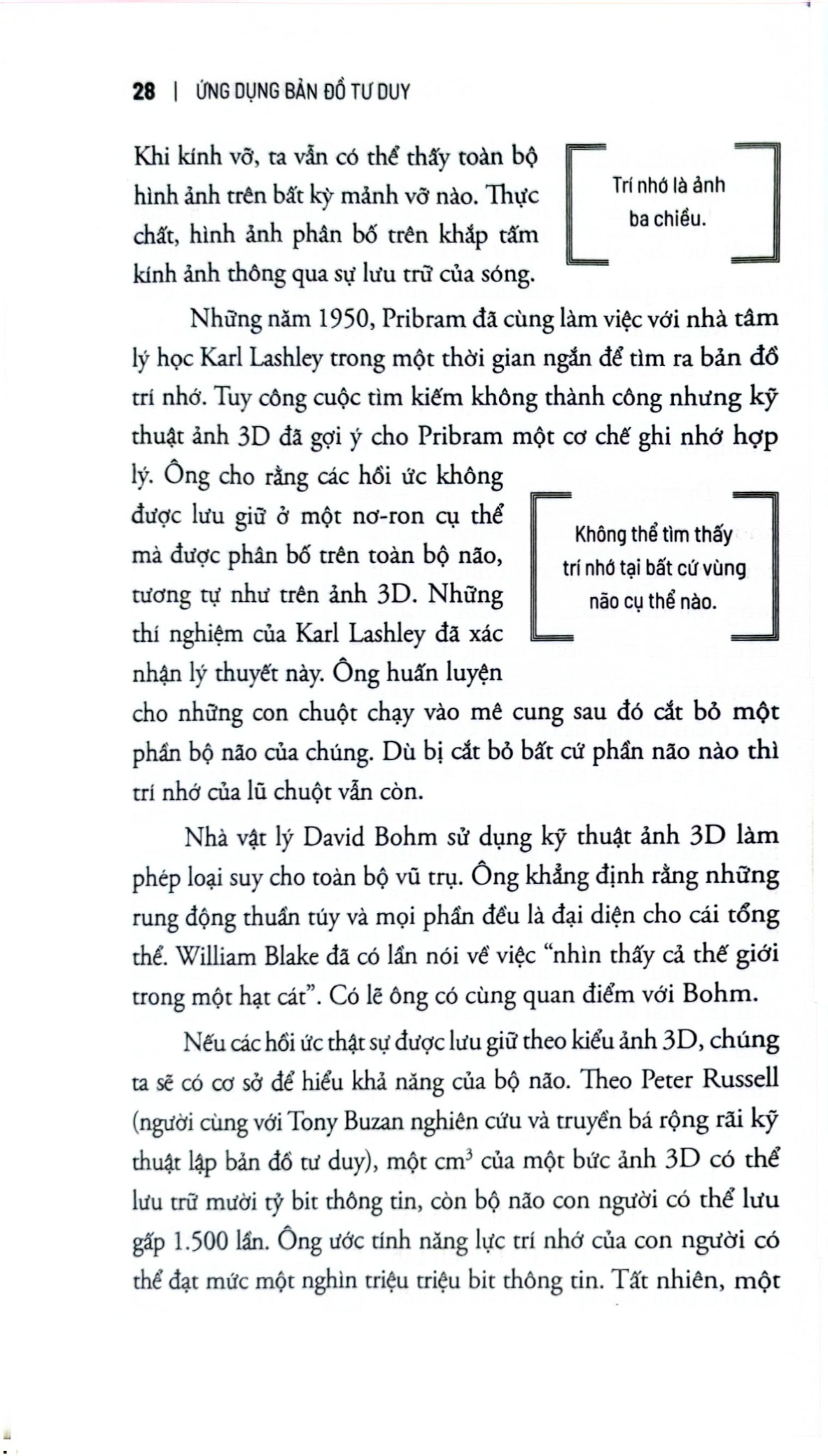 Ứng Dụng Bản Đồ Tư Duy - Để Khám Phá Tính Sáng Tạo Và Giải Quyết Vấn Đề - Joyce Wycoff