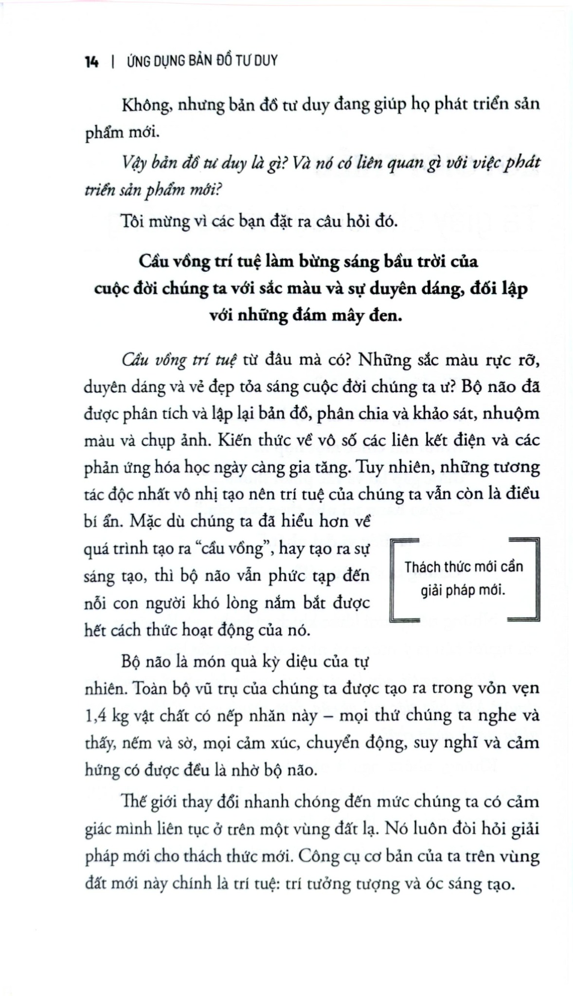 Ứng Dụng Bản Đồ Tư Duy - Để Khám Phá Tính Sáng Tạo Và Giải Quyết Vấn Đề - Joyce Wycoff