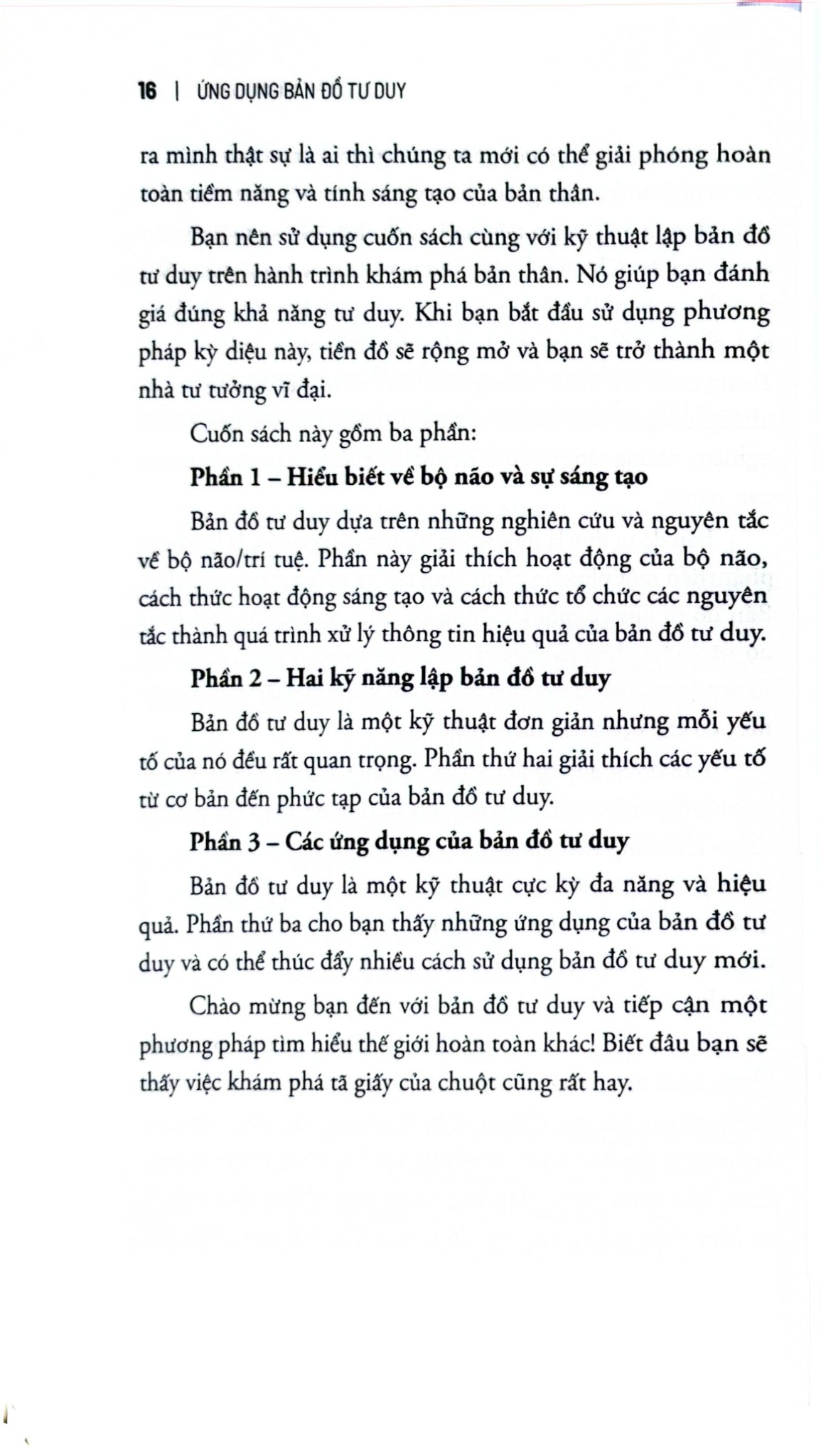 Ứng Dụng Bản Đồ Tư Duy - Để Khám Phá Tính Sáng Tạo Và Giải Quyết Vấn Đề - Joyce Wycoff