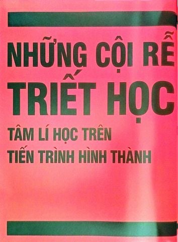  Tâm Lí Học - Khái Lược Những Tư Tường Lớn - DK 