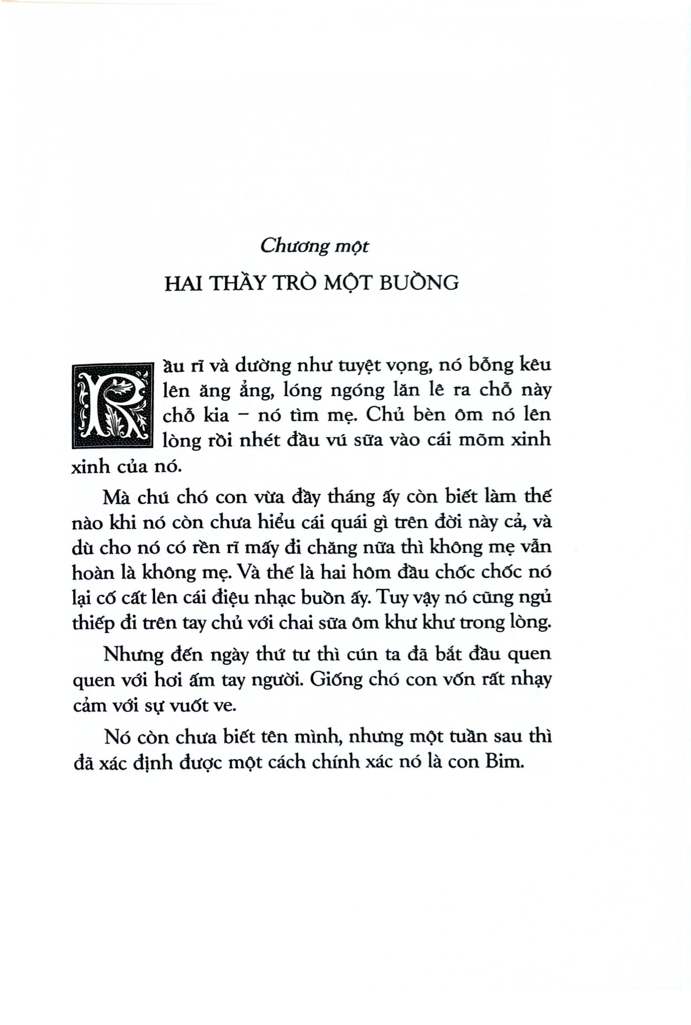 Văn Học Cổ Điển - Con Bim Trắng Tai Đen (Bìa Cứng) - Gavriil Troyepolsky