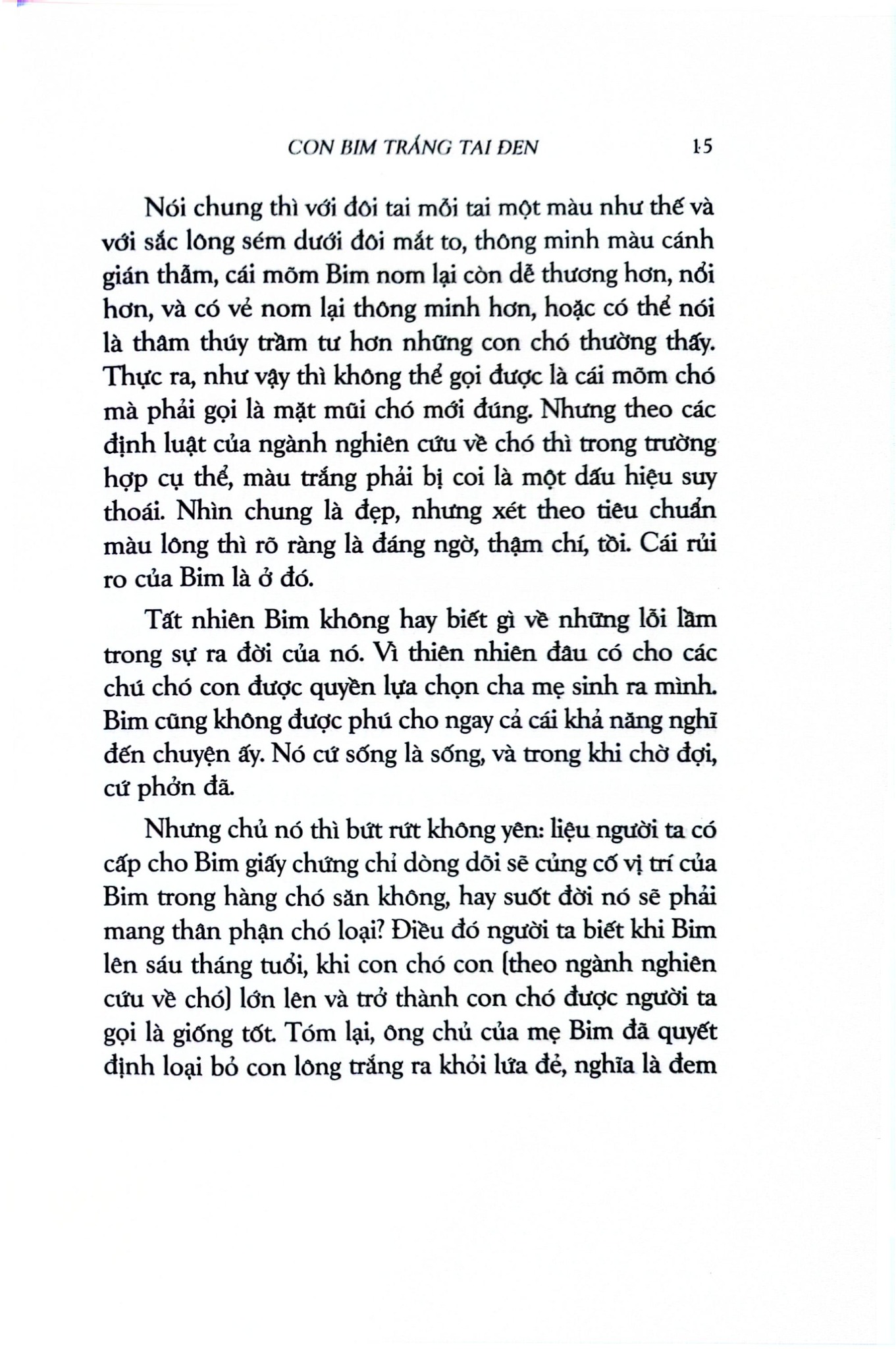 Văn Học Cổ Điển - Con Bim Trắng Tai Đen (Bìa Cứng) - Gavriil Troyepolsky