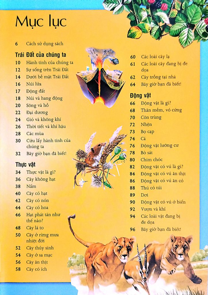 Bk Tri Thức Cho Trẻ Em - Khám Phá Và Sáng Tạo  - Kingfisher