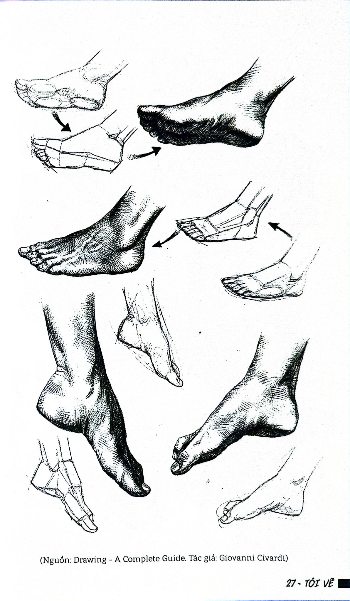 Tôi Vẽ - Phương Pháp Tự Học Vẽ Truyện Tranh - Nhiều tác giả