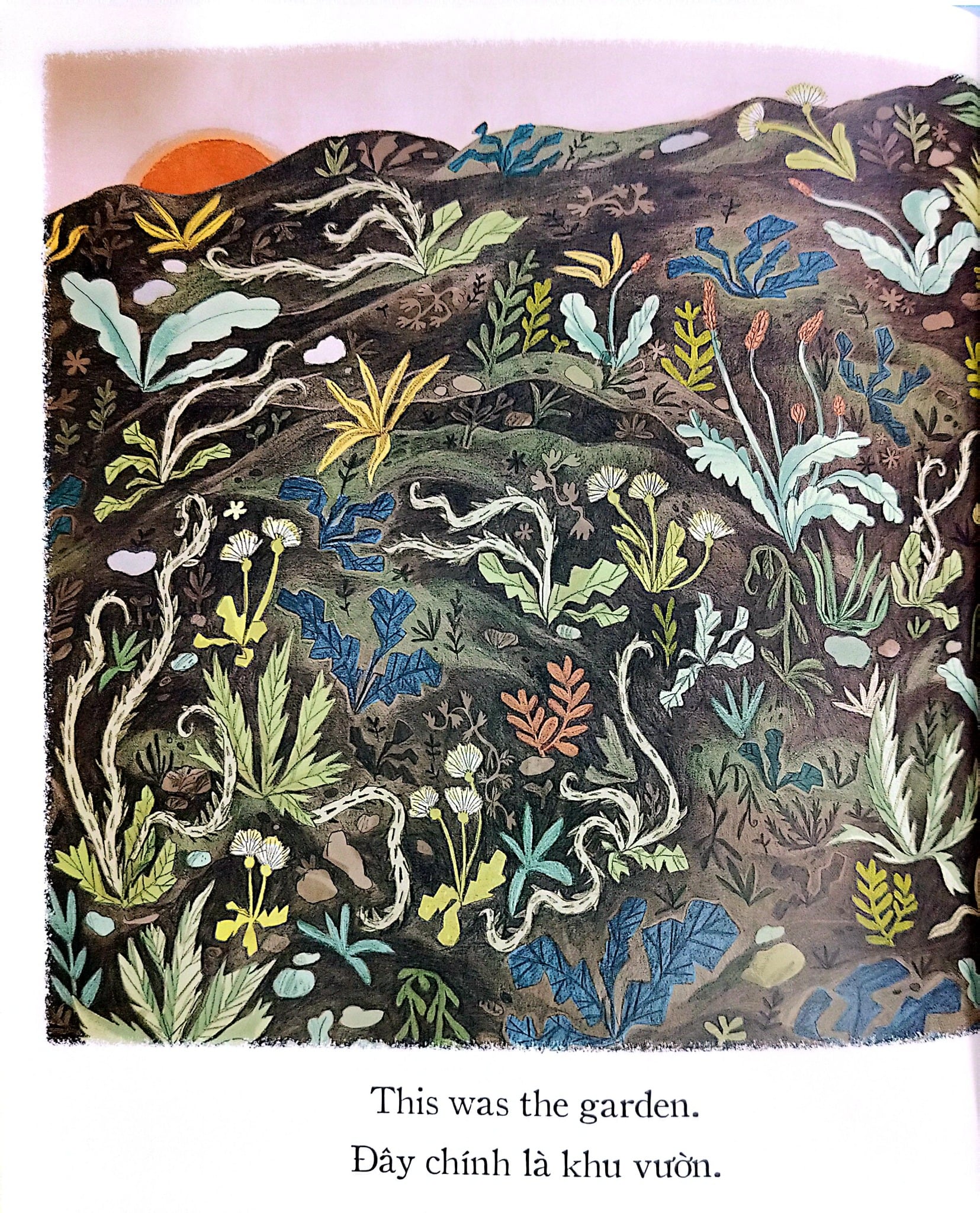 Người Làm Vườn Tí Hon - The Little Gardener (Song Ngữ Anh - Việt) - Emily Hughes