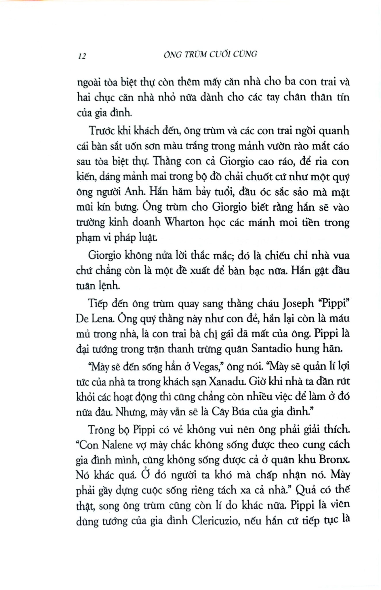 Ông Trùm Cuối Cùng - Mario Puzo (Bìa Nâu)