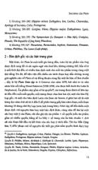 Đối Thoại Socratic - Plato (tái bản 2025)