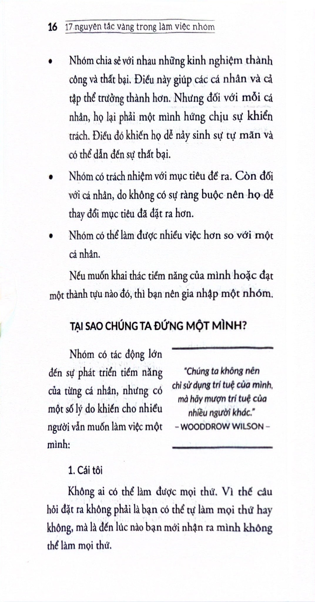 17 Nguyên Tắc Vàng Trong Làm Việc Nhóm - John C. Maxwell