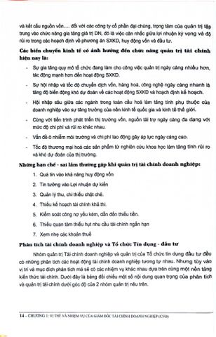  CFO Quản Trị Tài Chính Công Ty Cổ Phần - TS. Đinh Thế Hiển 