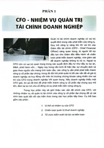  CFO Quản Trị Tài Chính Công Ty Cổ Phần - TS. Đinh Thế Hiển 