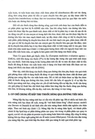  Cải Thiện Hấp Thu Thuốc Dùng Qua Đường Tiêu Hoá (Sách Đào Tạo Sau Đại Hoc) - ĐH Dược Hà Nội 
