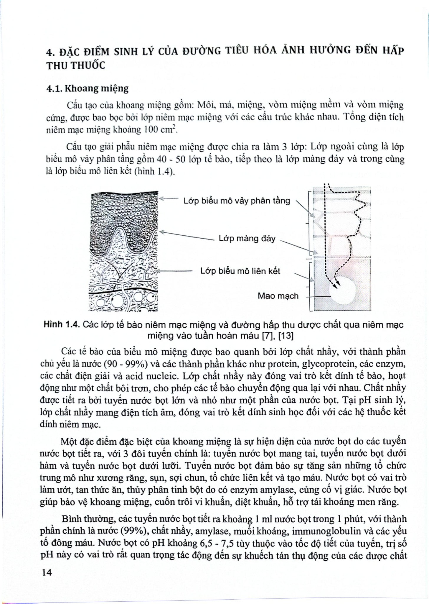 Cải Thiện Hấp Thu Thuốc Dùng Qua Đường Tiêu Hoá (Sách Đào Tạo Sau Đại Hoc) - ĐH Dược Hà Nội