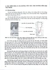 Cải Thiện Hấp Thu Thuốc Dùng Qua Đường Tiêu Hoá (Sách Đào Tạo Sau Đại Hoc) - ĐH Dược Hà Nội