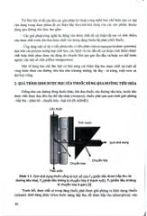 Cải Thiện Hấp Thu Thuốc Dùng Qua Đường Tiêu Hoá (Sách Đào Tạo Sau Đại Hoc) - ĐH Dược Hà Nội