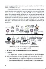 Công Nghệ Nano Và Ứng Dụng Trong Sản Xuất Thuốc - ĐH Dược Hà Nội