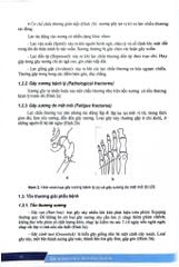 Bệnh Học Ngoại Khoa Chấn Thương Chỉnh Hình (SĐH) - ĐH Y Hà Nội, PGS.TS. Đoàn Quốc Hưng, GS.TS. Trần Trung Dũng