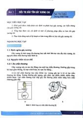 Bệnh Học Ngoại Khoa Chấn Thương Chỉnh Hình (SĐH) - ĐH Y Hà Nội, PGS.TS. Đoàn Quốc Hưng, GS.TS. Trần Trung Dũng
