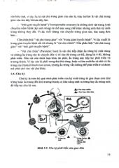 Ký Sinh Trùng Y Học Tập 1 (Giáo Trình Sau Đại Học) - ĐH Dược Hà Nội