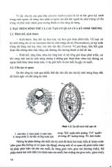 Ký Sinh Trùng Y Học Tập 1 (Giáo Trình Sau Đại Học) - ĐH Dược Hà Nội