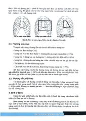 Bệnh Học Ngoại Khoa Tim Mạch - Lồng Ngực (Dùng Cho Đào Tạo Sau Đại Học) - ĐH Y Hà Nội