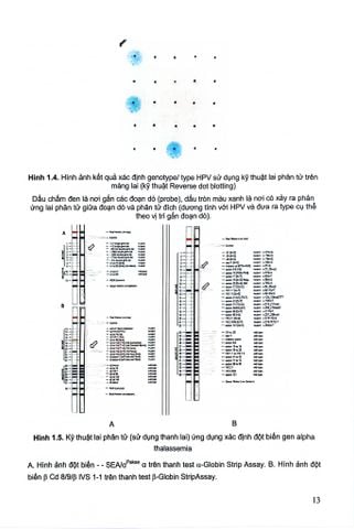  Thực Tập Di Truyền Y Học (Sách Dành Cho Sinh Viên) - ĐH Y Hà Nội 